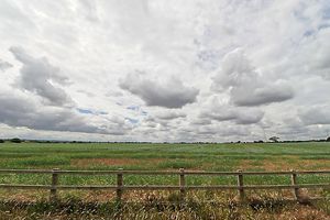 Fields- click for photo gallery